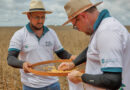 Sob impacto do clima seco, Paraná recebe Rally da Safra com produtividade da soja em queda