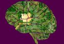 Como melhorar o desempenho cerebral em pouco?