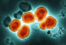 Cientistas fazem alerta sobre qual vírus deve causar próxima pandemia